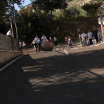 serrone 2014 (19)